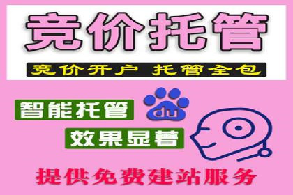 案例分享：SEM竞价代运营助力电商增长